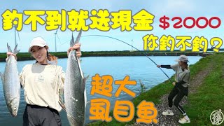 【釣魚日記】打龜給2000的池子你釣不釣.......扛不起來的漁獲還要下水去搬.....…Taiwan girl fishingエビ釣り어업｜采蓁 Patti