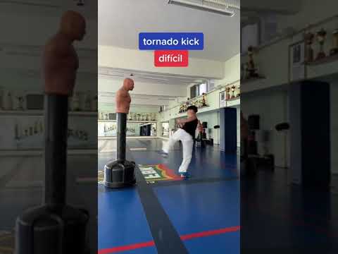 tipos de CHUTES da faixa BRANCA a faixa PRETA no KARATÊ!