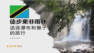 阳光天下行 坦桑尼亚  徒步东非雨林  追逐瀑布和猴子的旅行