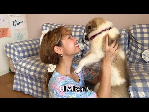 Hi Allison! - 保護犬が家族になってくれました