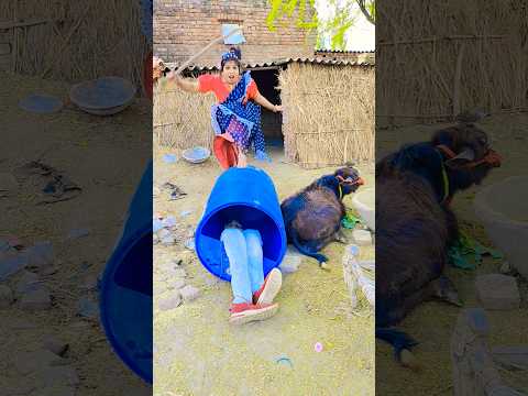 रानी वालाछिपकली #funny #comedy #short #ytshorts