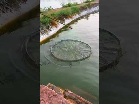 Catching A Fish With Net😨🎣~New Viral Gadgets, Smart Appliances, Kitchen Utensils/Home Inventions