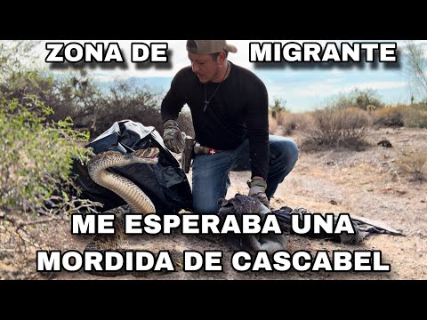 ENTRE LA BASURA EN ZONA DE MIGRANTE EN ARIZONA ME ESPERABA UNA MORDIDA DE SERPIENTE 