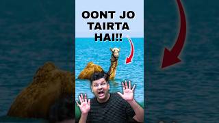 Kharai Camel: The Desert Animal That Swims in the Sea?! #upsc #ias #facts