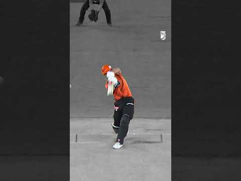 Strike a pose, Bison 📸 🦬 #mitchmarsh #bbl #bigbash #ipl