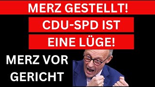 🚨MERZ WURDE KONFRONTIERT! DIE WAHRHEIT ÜBER SEINEN DEAL!🚨