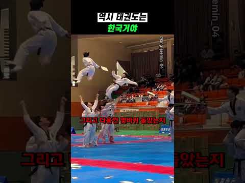 역시 태권도는 한국거야