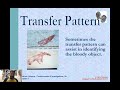 Blood Stain Pattern Analysis
