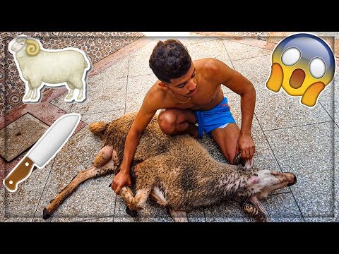 أجواء عيد الأضحى | حاولت ذبح خروف العيد لكن...😨😨