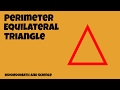 Properties of Triangles and Perimeter