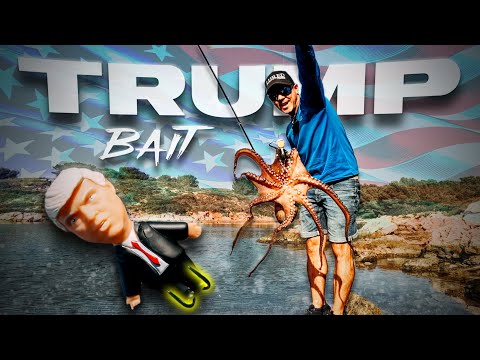 ¿Cómo le puede PICAR algo a ESTO? Mi RETO más Difícil [TRUMP Bait] | Lured Vlog 339