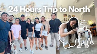 QUICK GETAWAY WITH OUR FUR BABY | Clouie Dims