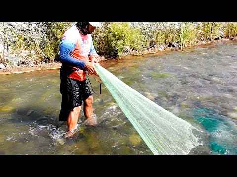 Dos PESCADORES Exploran el RÍO y atrapan CAMARONES GIGANTES con Atarraya.