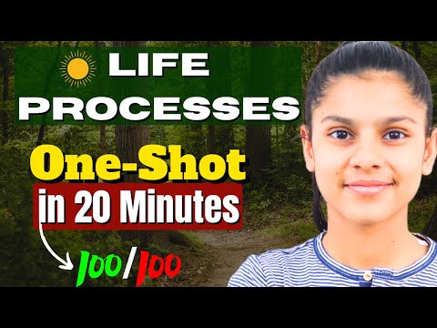 LIFE PROCESSES one shot ReviSion in 20 Minutes 🔥 Class 10 Board 2025 One Shot