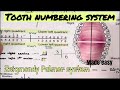 Sigmundi Palmer System Overview