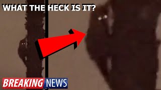 CRYPTID CAUGHT ON VIDEO? WHAT THE HECK IS IN THIS SCARY VIDEO!