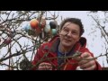 Ostereierbaum in Saalfeld