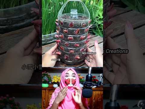 😱ভাইরাল💯ঝামেলা ছাড়াই প্লাস্টিকের বোতলে পেঁয়াজ চাষ পদ্ধতির শর্টকাট টেকনিক✅#shorts#shortsfeed #viral