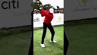 tigerwoods driver shot