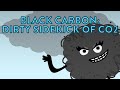 Understanding Black Carbon and Its Impact