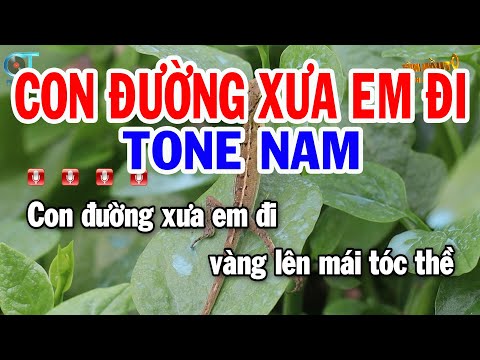 Karaoke Con Đường Xưa Em Đi Tone Nam ( Bm ) Nhạc Sống Hay | Karaoke Tuấn Kiệt