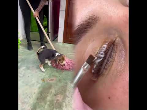 Por favor comparte con tus amigos #pov #herramientas #sketch #gracioso #actuaci贸n #historia 1