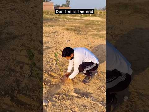 Don’t miss the end 😂🤣#shortsfeed #funny #comedy #funny #trendingshorts #youtubeshorts #shorts