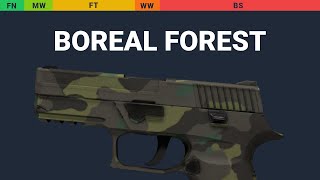P250 Boreal Forest Wear Preview