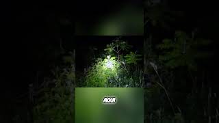 Escuridão total no nosso acampamento 🔦