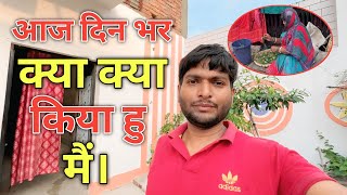 आज दिन भर क्या क्या किया मैं | Village Lifestyle | Desi Vlogs