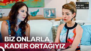 Arkadaşlarına Sahip Çıkmakta Şebo Gibi Ol 👸🏻 | Kaçak Gelinler