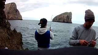 shore jigging : Alletterato