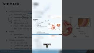 NCLEX Prep - Digestion Part 3