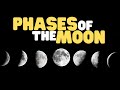 Exploring the Phases of the Moon for Kids