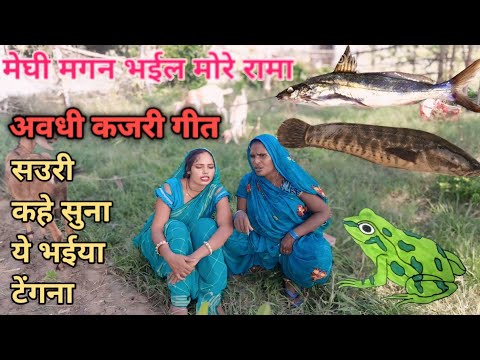 सउरी कहे सुना ए भैया टेंगरा मेघा गगन भईल मोरे रामा अवधी कजरी गीत | मैघी गगन भइले मोरे रामा | #कजरी