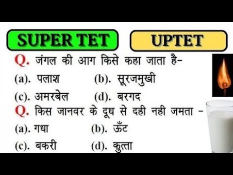 UPPET 2023 || UPTET 2023 || Super TET 2023 Important Questions || Super TET || UP LEKHPAL || REET