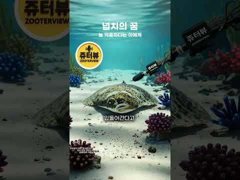 넙치의 꿈 - "늘 억울하다는 이에게 [쥬터뷰]