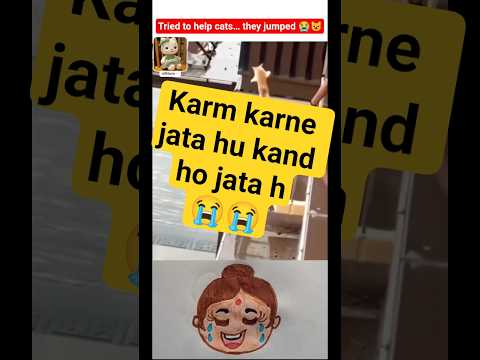 Tried to help cats… they jumped! 😭😺 #cats #funnycats #catfail #shorts #viral #cutepets #funny