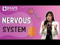 Nervous System Functions and Components