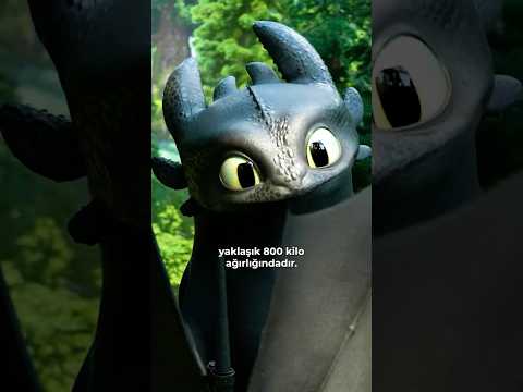 Ejderhanı Nasıl Eğitirsin filminde bu detayı biliyor muydunuz?