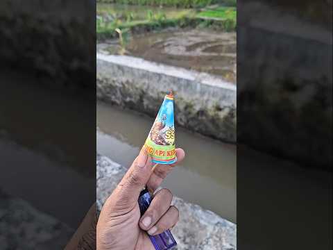 punya kembang api kerucut #trendingshorts