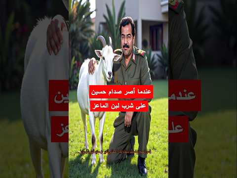 عندما أصر #صدام_حسين على شرب لبن الماعز في  #العراق  #ذهب #أسرار_صدام #الجيش_العراقي #قصص_حقيقية