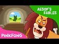 The Lion's Lesson: Wisdom and Caution