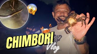 फिर एक बार गये CHIMBORI पकड़ने | VLOG 210