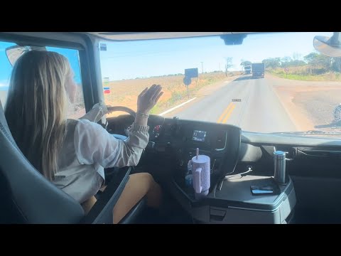 Como que tira esse gato daí 😮 viajando para Rondônia..