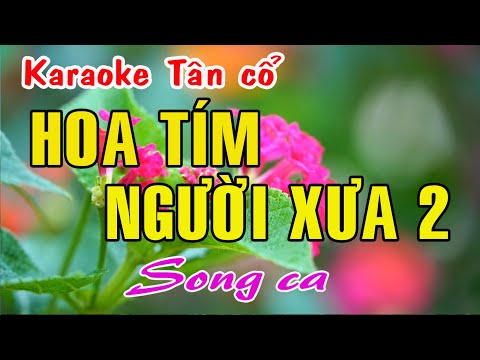 Karaoke tân cổ HOA TÍM NGƯỜI XƯA 2 – SONG CA