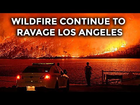 California Fire | Los Angeles Wildfire | Death Toll Climbs To 24 As Strong Winds Continue