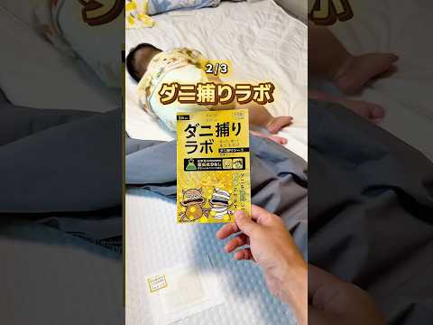 【マットレスちゃんと掃除してる？？〇〇が何万匹もいるかも…】