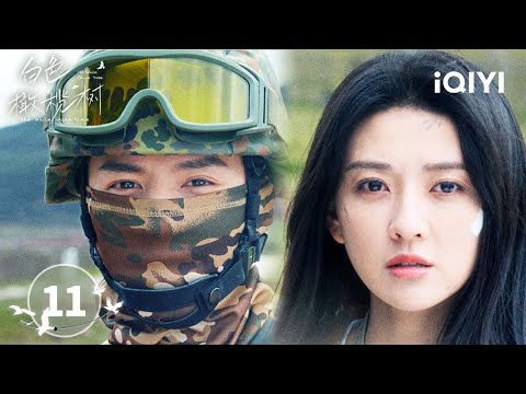 【Multi | FULL】EP11 Li Zan's life or death is uncertain | The White Olive Tree 白色橄榄树 | iQIYI