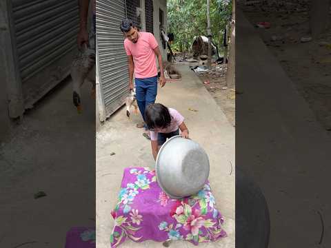 Duck 🦆 to Duckling 🐥 🤣🤣🤣 #funny #laugher #funnyclip #viral2025 #funnyreels #funnykids